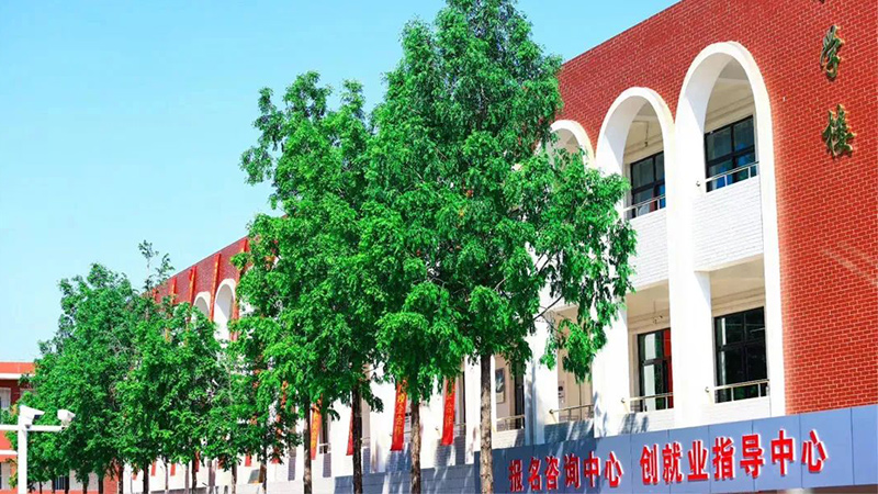 擇校不滿意，轉學需趁早！及時止損，選擇比努力更重要！