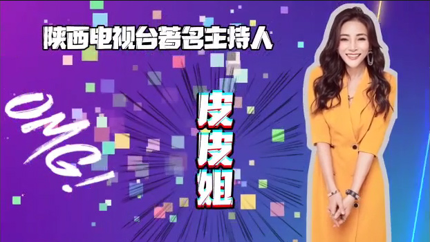 陜西電視臺皮皮姐帶你了解萬通！